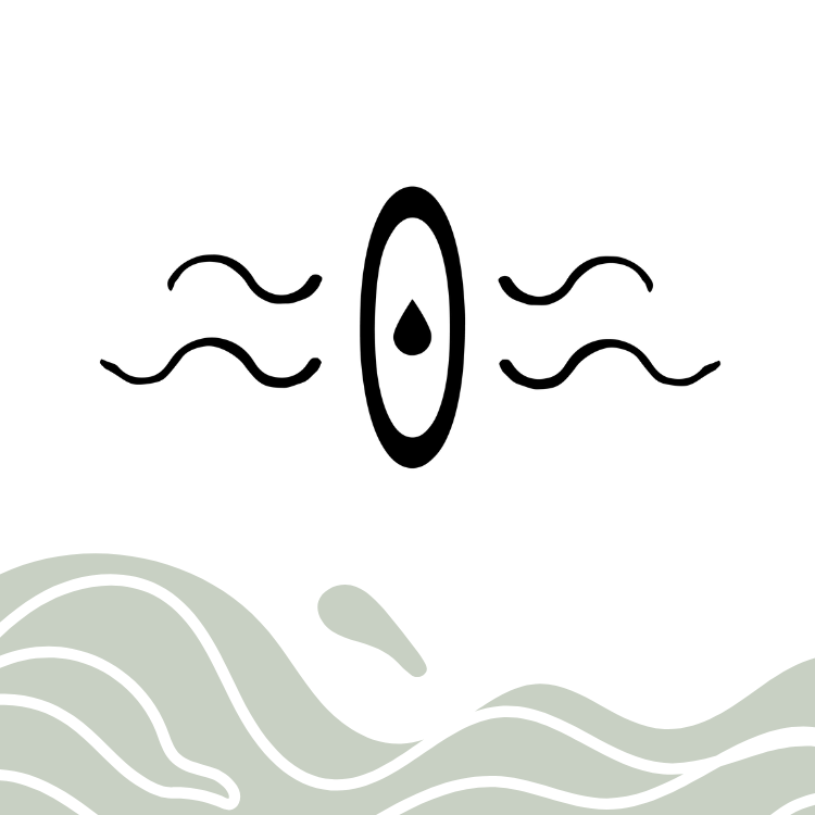 Logo Sa0na avec un zéro